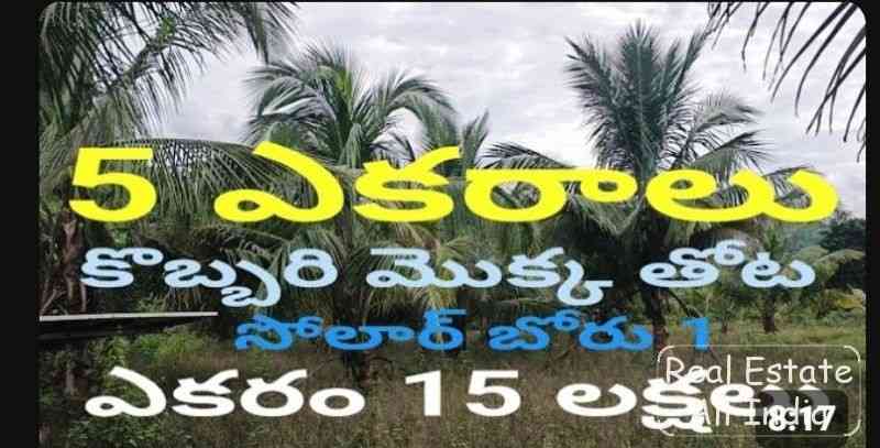 5 Acres కొబ్బరి మొక్క తోట ఎకరం​ 15 లక్షలు సోలార్ బోరు Site for sale  Agriculture land9492341575 - PS0068